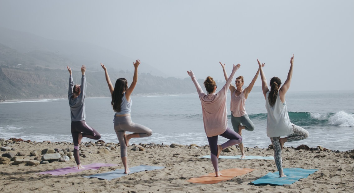 「貓咪常見皮膚問題深度解析：貓粉刺的成因、症狀與治療」